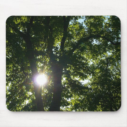 Zon die door bomen schijnt muismat (Voorkant)