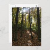 Zon die door het Briefkaart van de bomen piept (Voorkant / Achterkant)