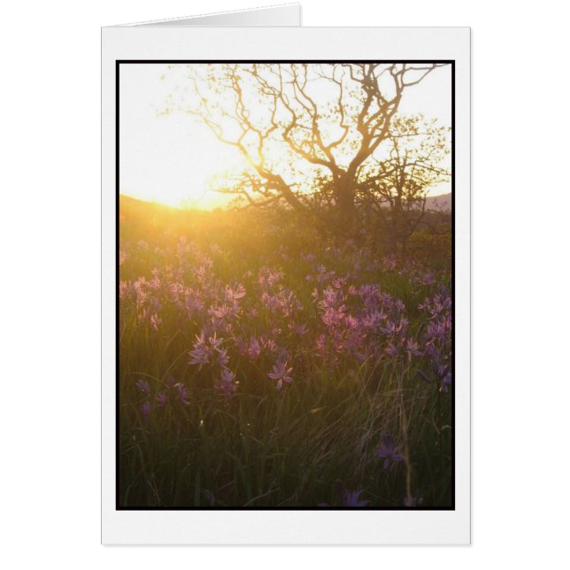 Zon die op de berg Tolmie en Camas plaatst (Voorkant)