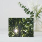 Zon door bomen briefkaart (Staand voorkant)