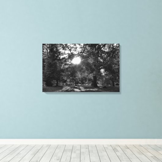 Zon door bomen canvas afdruk (Insitu (Houten vloer))