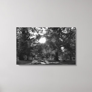 Zon door bomen canvas afdruk
