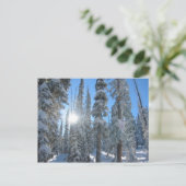 Zon door bomen in de winter briefkaart (Staand voorkant)