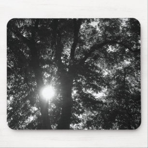 Zon door bomen muismat