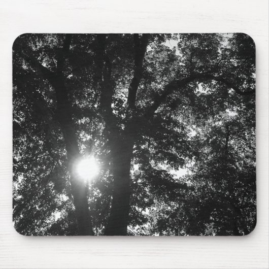 Zon door bomen muismat (Voorkant)