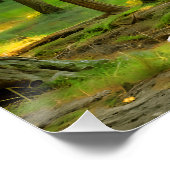 Zon door de bomen perfect poster (Hoek)