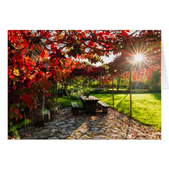 Zon door herfstbladeren, Kroatië (Voorkant Horizontaal)