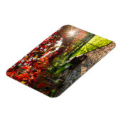 Zon door herfstbladeren, Kroatië Magneet (Linkerzijde)