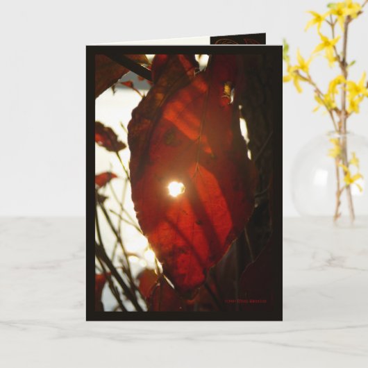 Zon door Rood Blad Kaart (Gele Bloem)