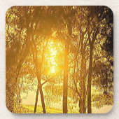 Zon en bomen bier onderzetter (Voorkant)