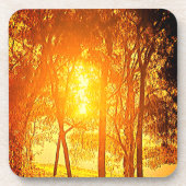 Zon- en boomkwekerijkusten bier onderzetter (Voorkant)