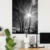 Zon en boomtak tracery poster (Thuiskantoor)