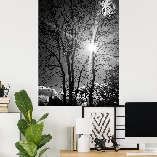 Zon en boomtak tracery poster (Thuiskantoor)
