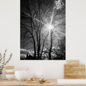Zon en boomtak tracery poster (Keuken)