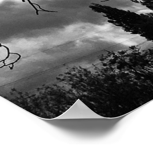 Zon en boomtak tracery poster (Hoek)