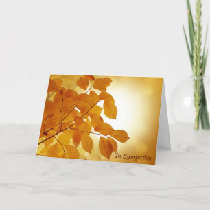 Zon en herfst laat sympathie achter kaart