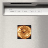 Zon glimlachen vanuit het NASA-observatorium voor  Magneet (Insitu (Vaatwasser))