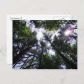 Zon in bomen op de Roan Mountain Briefkaart (Voorkant / Achterkant)