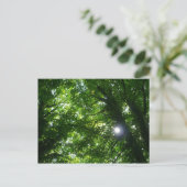 Zon in de Bomen Briefkaart (Staand voorkant)