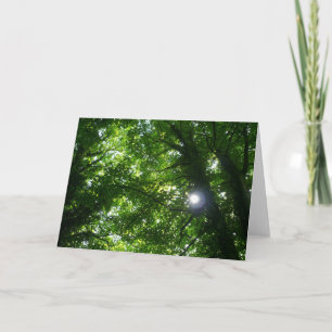 Zon in de Bomen Kaart