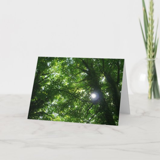 Zon in de Bomen Kaart (Voorkant)