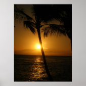 Zon in de bomen, naar beneden poster (Voorkant)