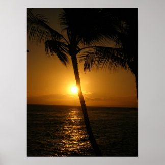 Zon in de bomen, naar beneden poster