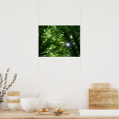 Zon in de Bomen Poster (Keuken)