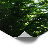 Zon in de Bomen Poster (Hoek)