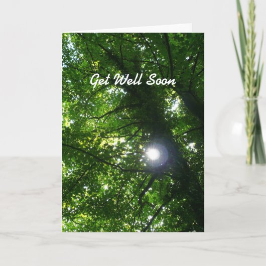 Zon in de bomen - Snel. Kaart (Voorkant)