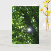 Zon in de bomen - Verticaal Kaart (Gele Bloem)