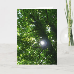 Zon in de bomen - Verticaal Kaart