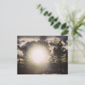 Zon in het Briefkaart Trees (Staand voorkant)
