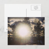 Zon in het Briefkaart Trees (Voorkant / Achterkant)