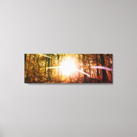 Zon in het herfstbos canvas afdruk (Voorkant)