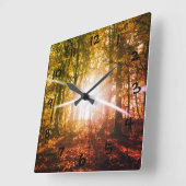 Zon in het herfstbos vierkante klok (Hoek)