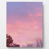  zon in het park EASEL Fotoplaat (Voorkant)