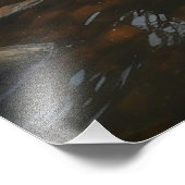 *~* Zon Man River Stream Natuur AP49 Foto Afdruk (Hoek)