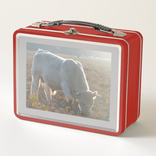 Zon Omringde Witte Koe Lunchbox (Voorkant)