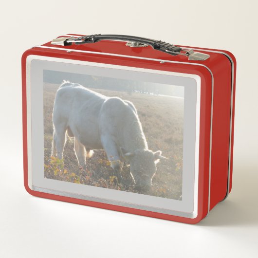 Zon Omringde Witte Koe Lunchbox (Achterkant)
