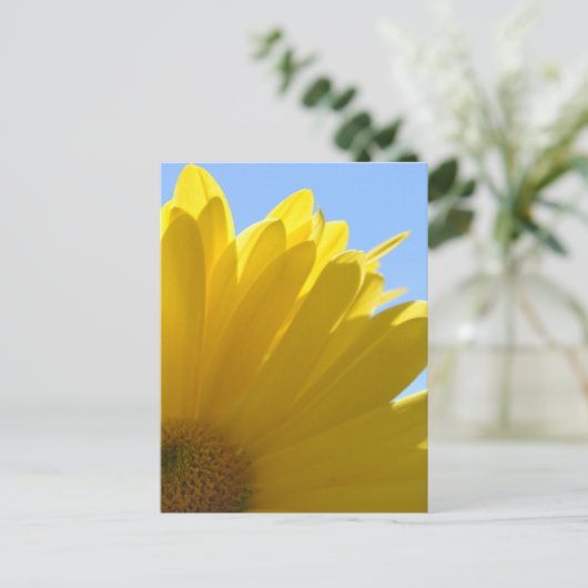 Zon op bloemblaadjes briefkaart (Staand voorkant)