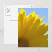 Zon op bloemblaadjes briefkaart (Voorkant / Achterkant)