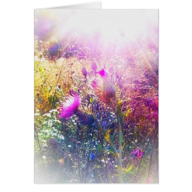 ZON OP DIT KLEINE WENSKAART (Voorkant)