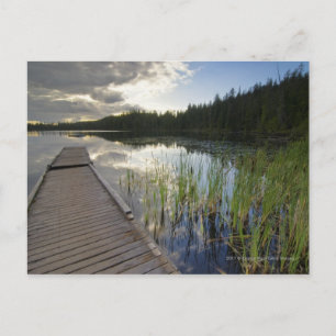 Zon op een klein meer briefkaart