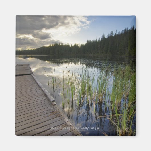 Zon op een klein meer magneet (Voorkant)