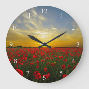 Zon over een rood papavergebied kleine aantallen grote klok