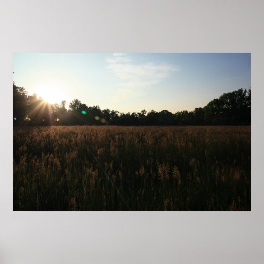 Zon over veld #4156 Poster (Voorkant)
