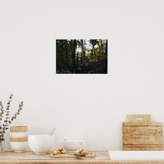 Zon piekt door Autumn Trees Poster (Keuken)