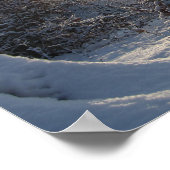 Zon reflectie door de bomen poster (Hoek)