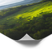 Zon schijnt op een veld van terrassen poster (Hoek)